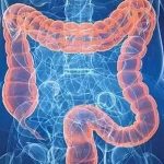 【前沿資訊】KRAS突變促進(jìn)結(jié)直腸癌肝轉(zhuǎn)移的機(jī)制研究