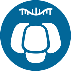 有參全長轉(zhuǎn)錄組（ONT）分析平臺