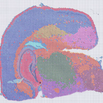 50μm 分辨率 Spots 聚類圖