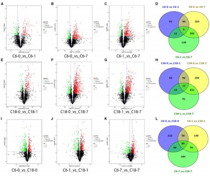 差異累積代謝物的火山圖，以及對(duì)照與其時(shí)間點(diǎn)的比較