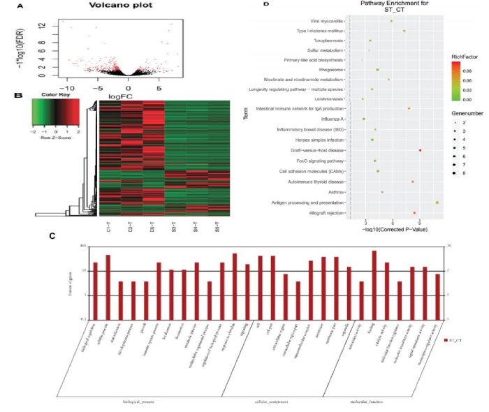 圖 3 黃河魚新品與對(duì)照組腸道轉(zhuǎn)錄組 DEGs 分析