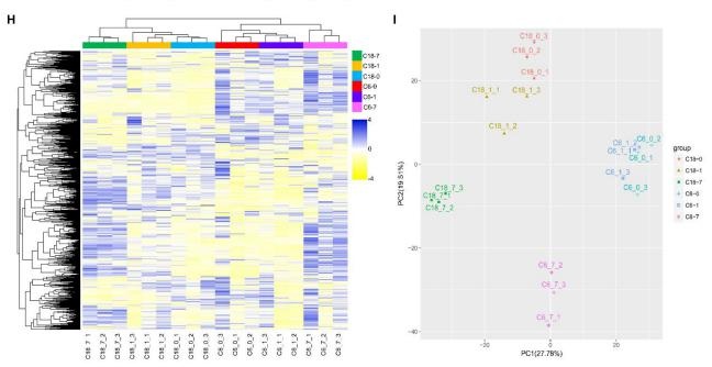 非靶向代謝組的無監(jiān)督層次聚類分析和 PCA 分析