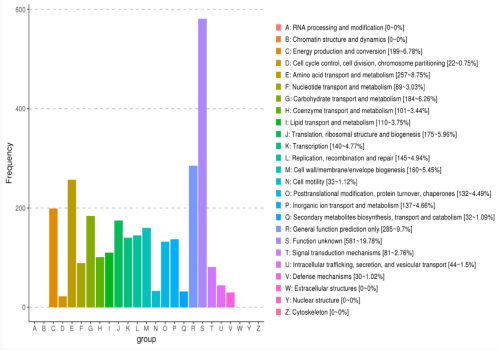 eggNOG功能基因功能分類統(tǒng)計(jì)圖