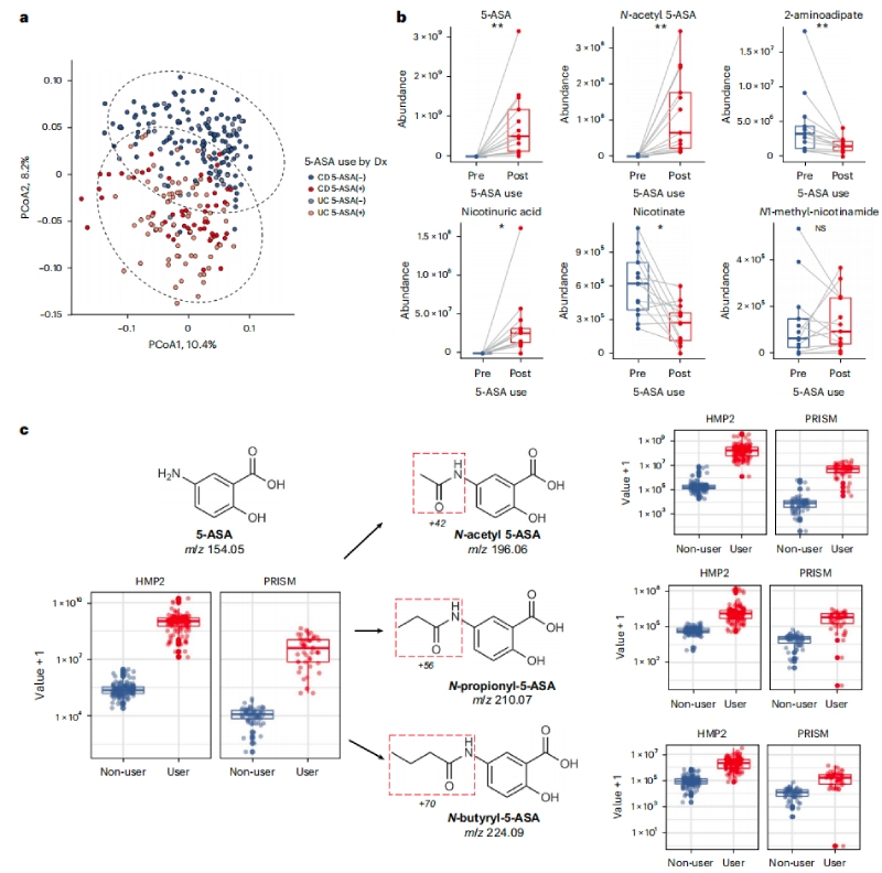 5-ASA可直接影響糞便代謝組，并通過微生物組進(jìn)行生物轉(zhuǎn)化
