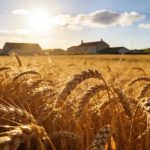 單細(xì)胞與空間轉(zhuǎn)錄組整合分析，揭示大麥從分生組織及器官起始細(xì)胞命運(yùn)決定到特定花器官起始過(guò)程中的關(guān)鍵轉(zhuǎn)錄事件與時(shí)空軌跡